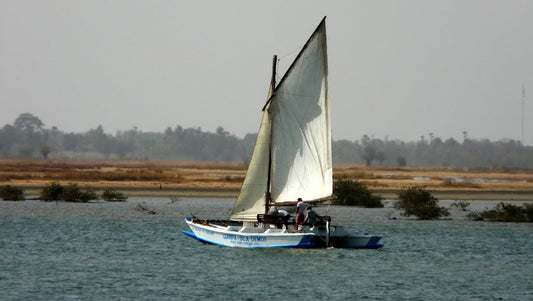 32 ft - Sirene du Saloum